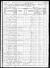 1870 Census for Marion County, Arkansas, Flippin Barron Township, Sheet 5 [stamped 484A]