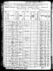 1880 Census for Drew County, Arkansas, Saline Township, Sheet 10 [stamped 459D]