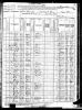 1880 Census for Drew County, Arkansas, Saline Township, Sheet 17 [stamped 460A]